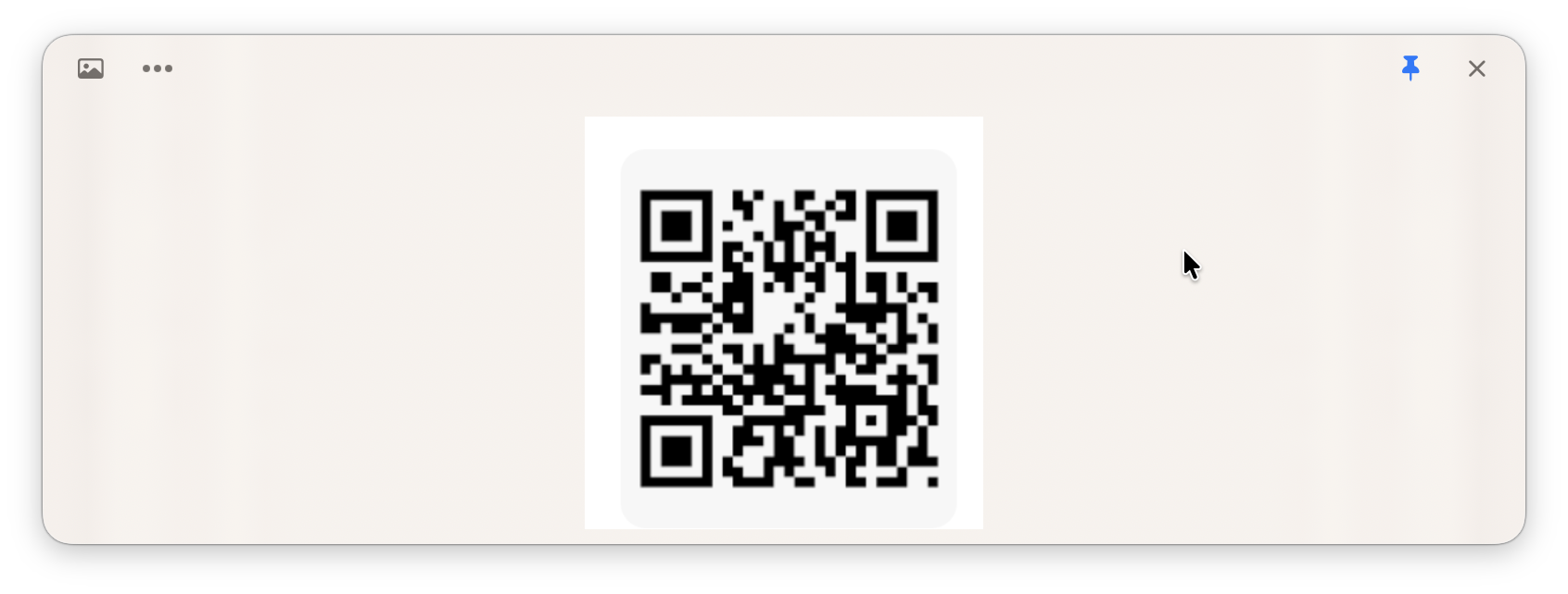 LudyLens QR scanner showing captured QR code image