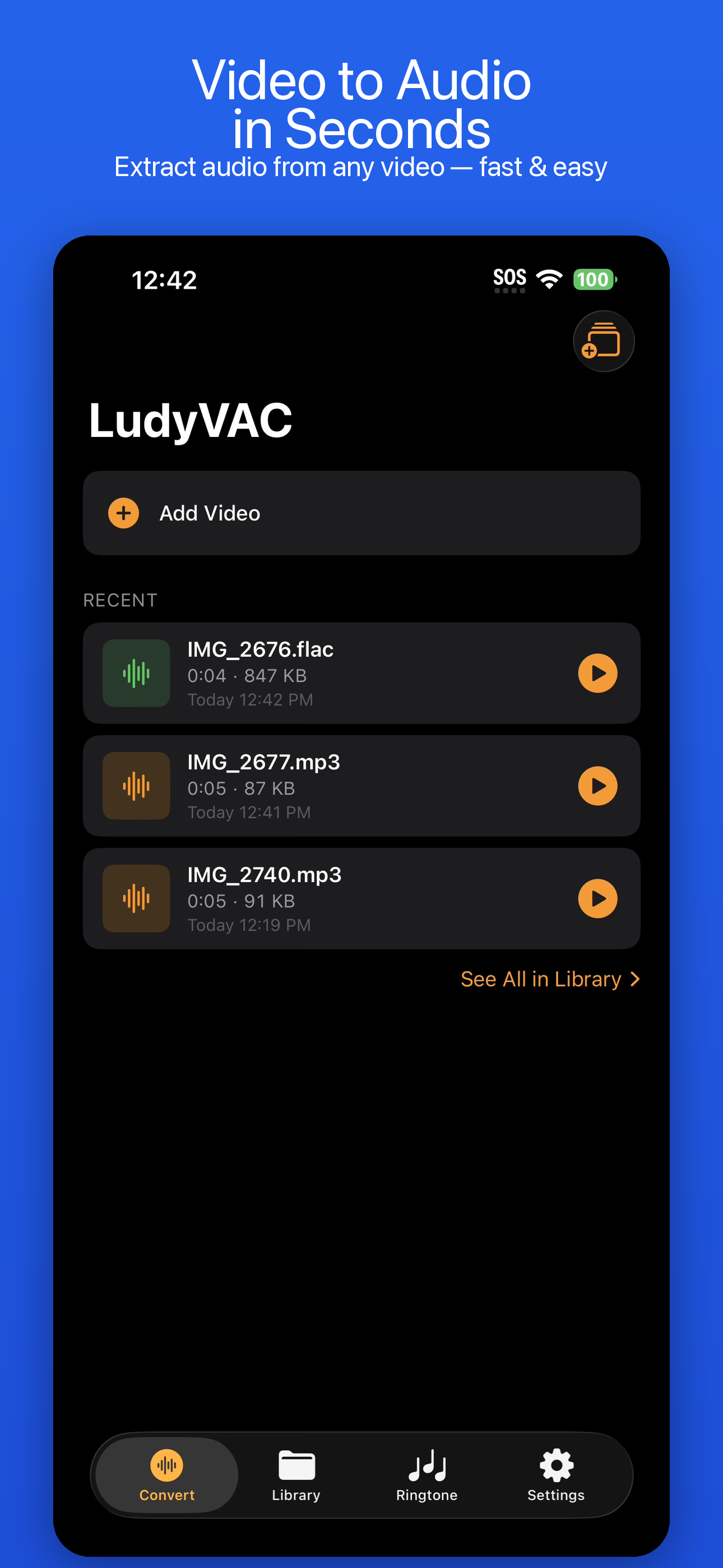 LudyVAC video selection and format picker