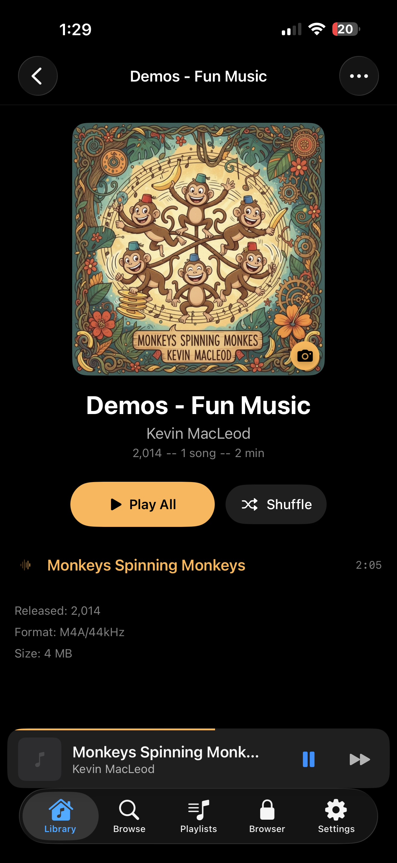 LudyAmp album detail showing artwork, tracks, and format info